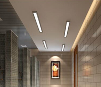 光槽龙骨集成带